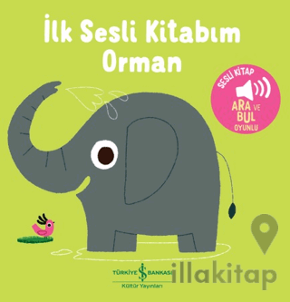 Orman - İlk Sesli Kitabım