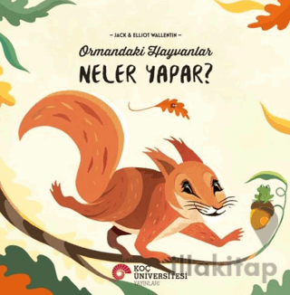 Ormandaki Hayavanlar Neler Yapar?