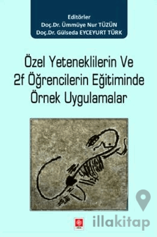 Özel Yeteneklilerin ve 2F Öğrencilerin Eğitiminde Örnek Uygulamalar