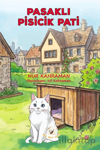 Pasaklı Pisicik Pati