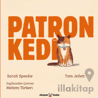 Patron Kedi