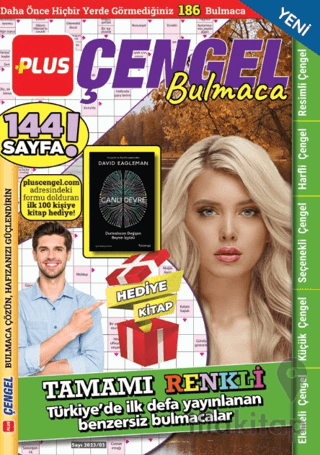 Plus Çengel Bulmaca 9