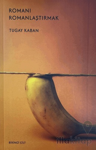 Romanı Romanlaştırmak