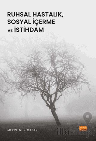 Ruhsal Hastalık, Sosyal İçerme ve İstihdam