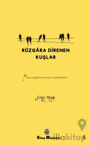 Rüzgara Direnen Kuşlar