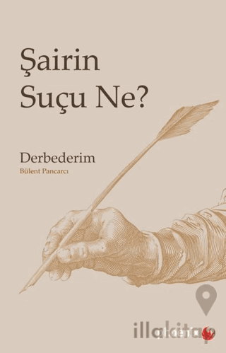 Şairin Suçu Ne?