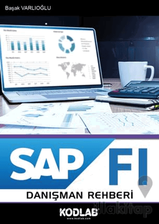 SAP FI Danışman Rehberi
