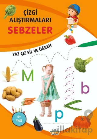 Sebzeler - Çizgi Alıştırmaları
