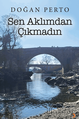 Sen Aklımdan Çıkmadın