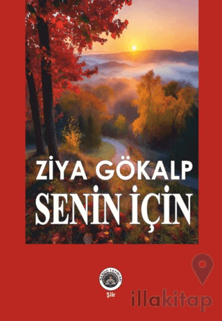 Senin İçin