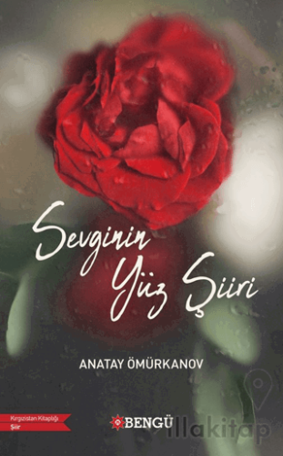 Sevginin Yüz Şiiri