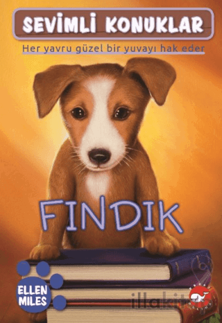 Sevimli Konuklar 5 - Fındık