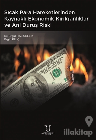Sıcak Para Hareketlerinden Kaynaklı Ekonomik Kırılganlıklar ve Ani Duruş Riski