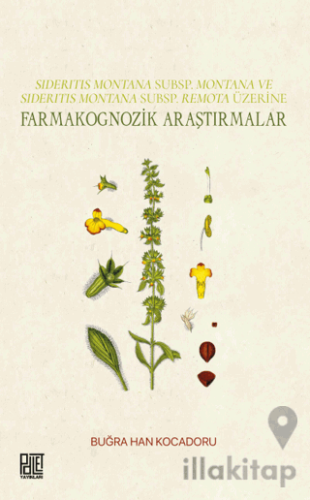 Sıderıtıs Montana Subsp. Montana Ve Sıderıtıs Montana Subsp. Remota Üzerine Farmakognozik Araştırmalar