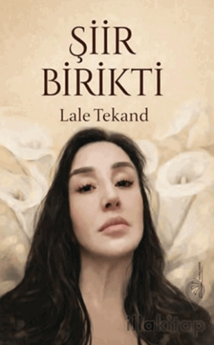 Şiir Birikti