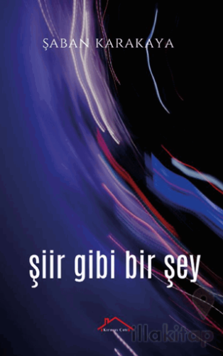 Şiir Gibi Bir Şey