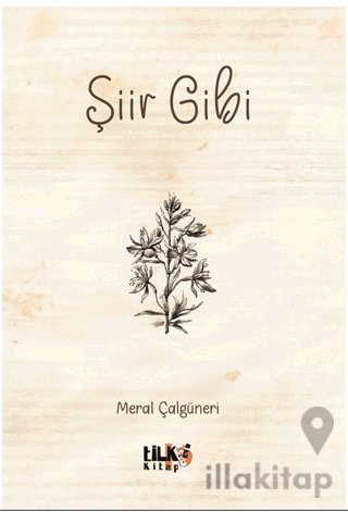 Şiir Gibi