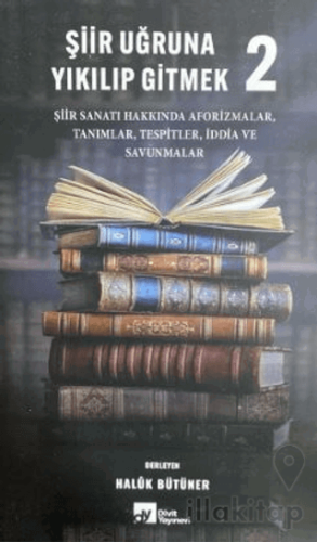 Şiir Uğruna Yıkılıp Gitmek 2