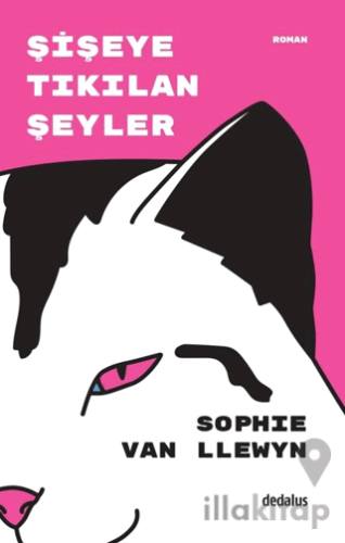 Şişeye Tıkılan Şeyler