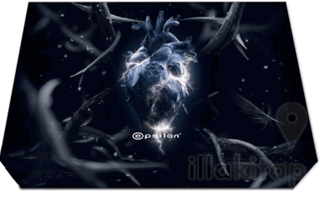 Siyah Kuğu 3 Göğü Kafes (Kutulu Set)