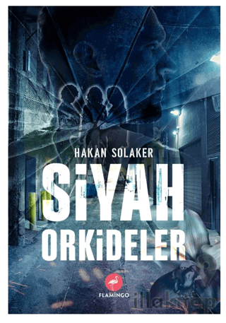 Siyah Orkideler