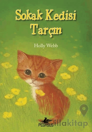 Sokak Kedisi Tarçın