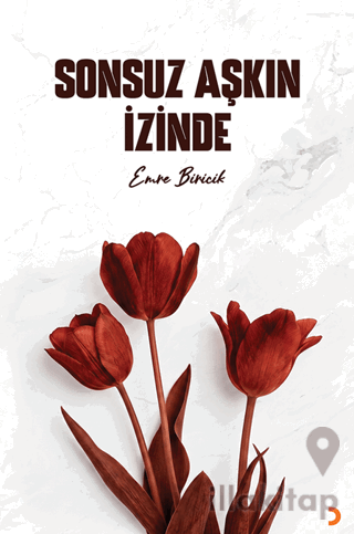 Sonsuz Aşkın İzinde