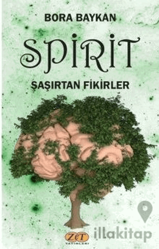 Spirit Şaşırtan Fikirler