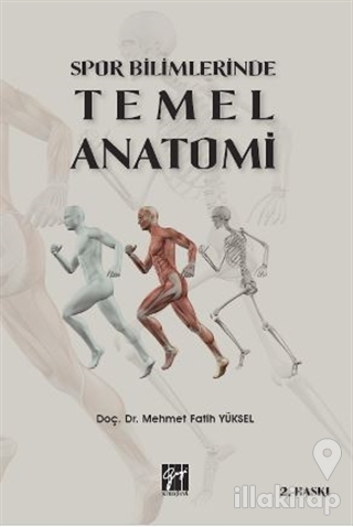 Spor Bilimlerinde Temel Anatomi