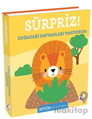 Sürpriz! – Doğadaki Hayvanları Tanıyorum