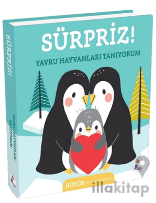 Sürpriz! – Yavru Hayvanları Tanıyorum