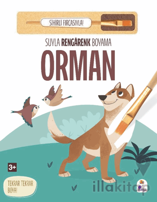 Suyla Rengarenk Boyama - Orman (Sihirli Fırçasıyla)