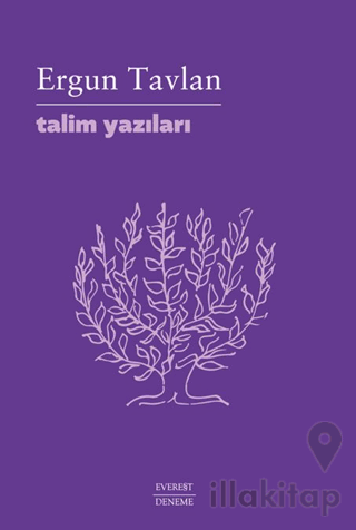 Talim Yazıları