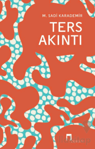 Ters Akıntı