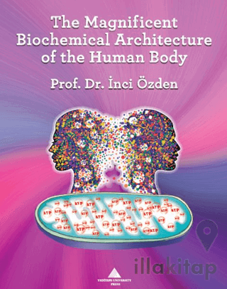 The Magnificent Biochemical Architecture of the Human Body