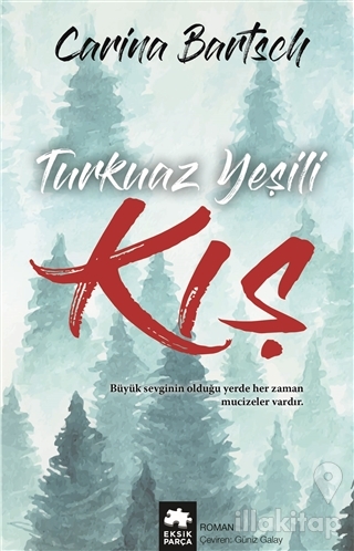 Turkuaz Yeşili Kış