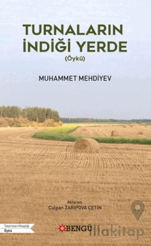 Turnaların İndiği Yerde