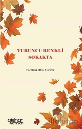 Turuncu Renkli Sokakta