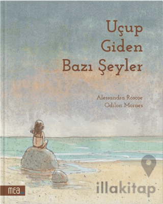 Uçup Giden Bazı Şeyler
