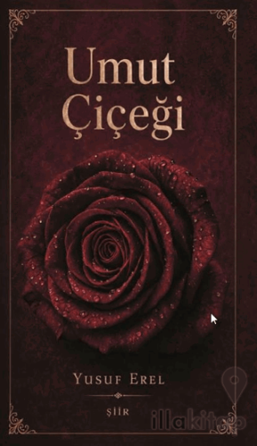 Umut Çiçeği
