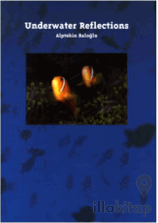 Underwater Reflections