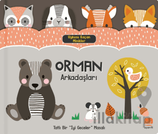Uykusu Kaçan Minikler Orman Arkadaşları