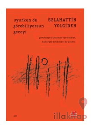 Uyurken de Görebiliyorsun Geceyi