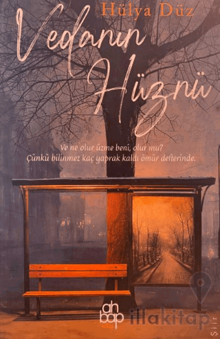 Vedanın Hüznü