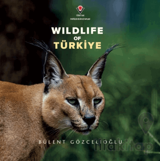 Wildife Of Türkiye
