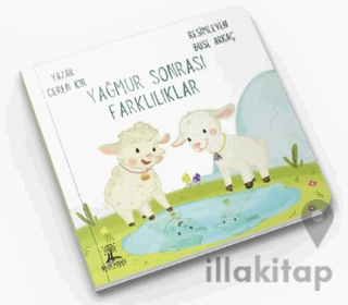 Yağmur Sonrası Farklılıklar