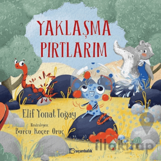 Yaklaşma Pırtlarım