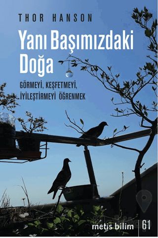 Yanı Başımızdaki Doğa