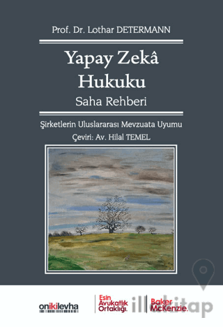 Yapay Zeka Hukuku Saha Rehberi