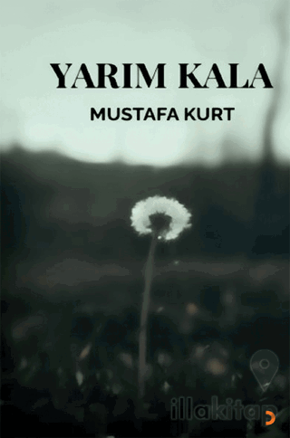 Yarım Kala